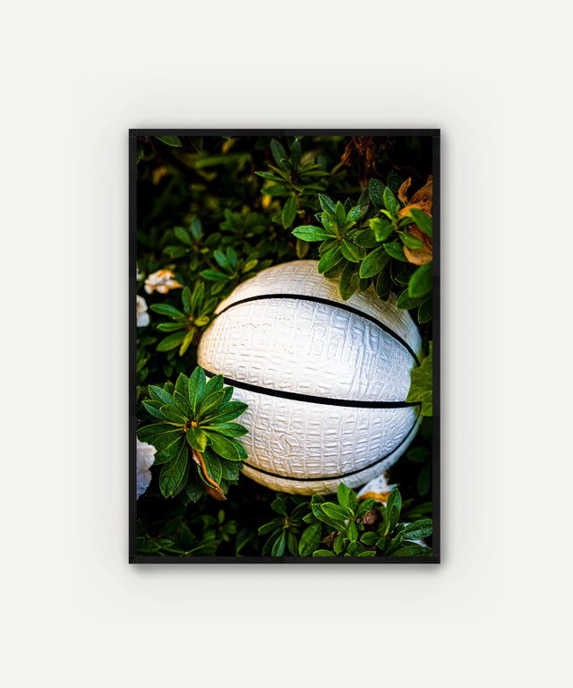 Greg Stein - Huyck House Premium Sporting Goods
