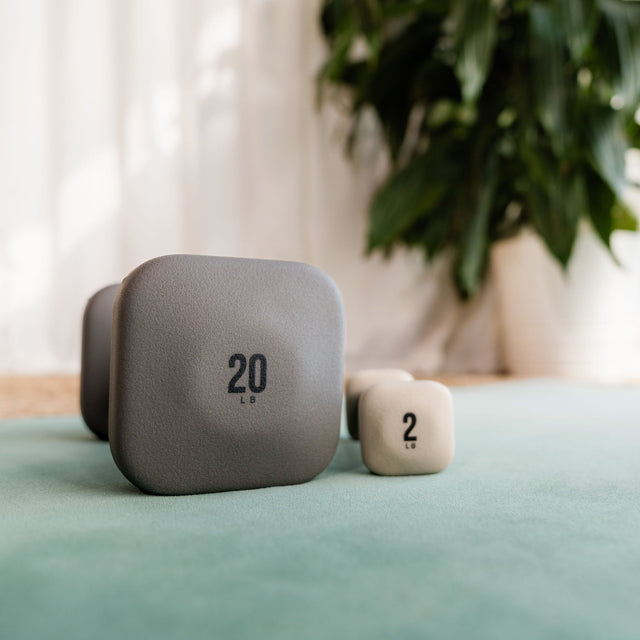SafeGrip Dumbbells - Slate