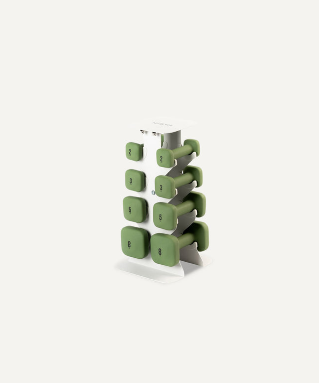 Dumbbell Set with Rack - Lower Set