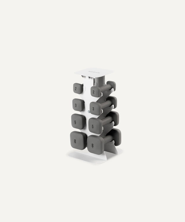 Dumbbell Set with Rack - Lower Set