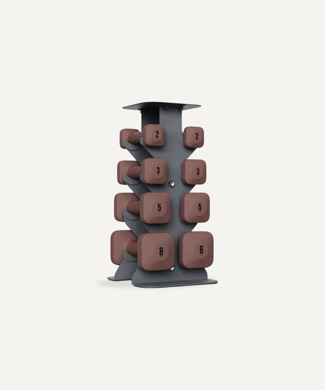 Dumbbell Set with Rack - Lower Set
