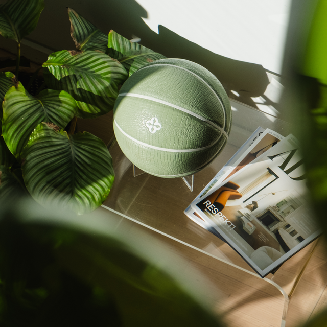 Comrade Berlin artistic basketball mens kids collectibles decorative basketball displayed on clear stand near plants and magazines